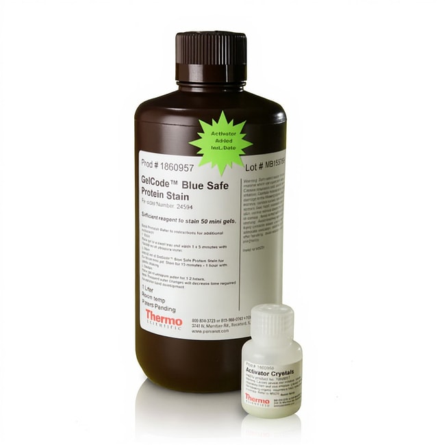 GelCode&trade; Blue Safe Protein Stain
