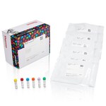 TMTsixplex&trade; 同量异序标记试剂组