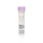 ActivX&trade; TAMRA-FP Serine Hydrolase Probe
