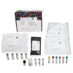 TMTsixplex&trade; Isobaric Mass Tagging Kit