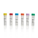 TMTsixplex&trade; 同量异序标记试剂组