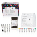 TMT10plex&trade; Isobaric Mass Tagging Kit