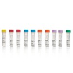 TMT10plex&trade; Isobaric Mass Tagging Kit