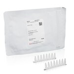 ActivX&trade; Desthiobiotin-GTP Probe