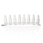 ActivX&trade; Desthiobiotin-GTP Probe