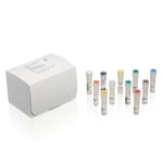 LightShift&trade; EMSA 优化和控制试剂盒