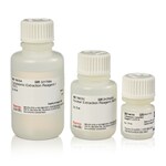 NE-PER&trade; Nuclear and Cytoplasmic Extraction Reagents
