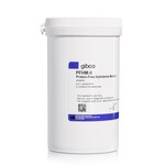 PFHM-II Protein-Free Hybridoma Medium (powder)