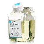 DMEM，低糖，丙酮酸盐，不含谷氨酰胺，不含酚红