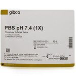 PBS, pH 7.4
