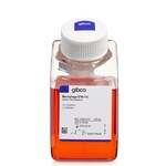 巨噬细胞-SFM (1X)