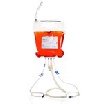 DMEM, high glucose, pyruvate