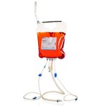 DMEM, high glucose, pyruvate