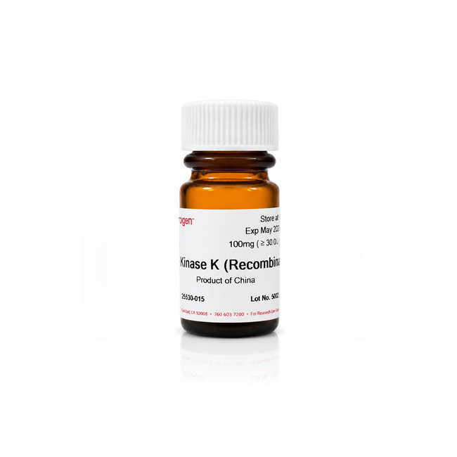 Proteinase K, recombinant