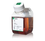 Fetal Bovine Serum, qualified, Brazil