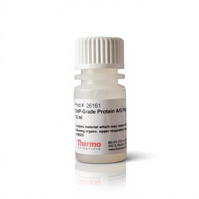 Pierce&trade; ChIP 级蛋白 A/G Plus 琼脂糖