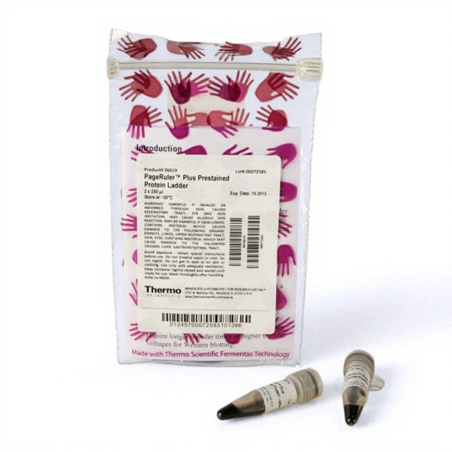 PageRuler&trade; Plus 预染蛋白分子量标准，10 至 250 kDa