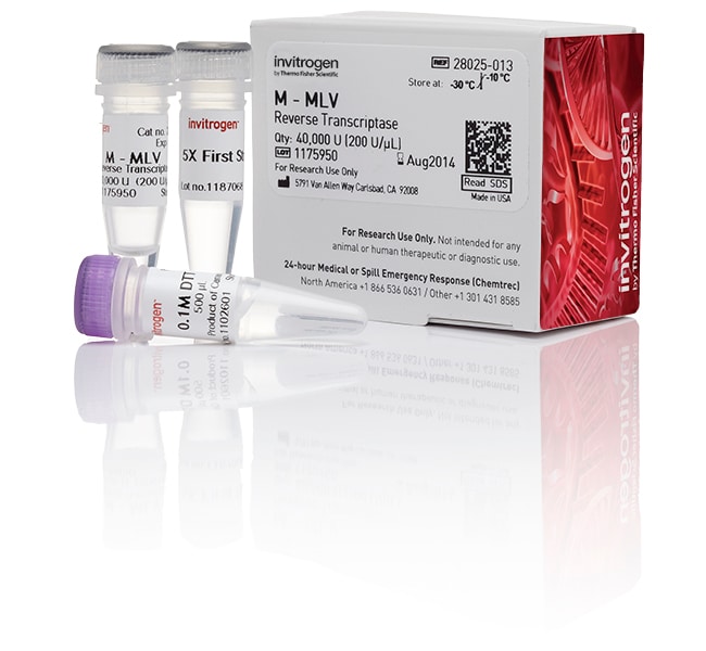 M-MLV Reverse Transcriptase (200 U/&mu;L)
