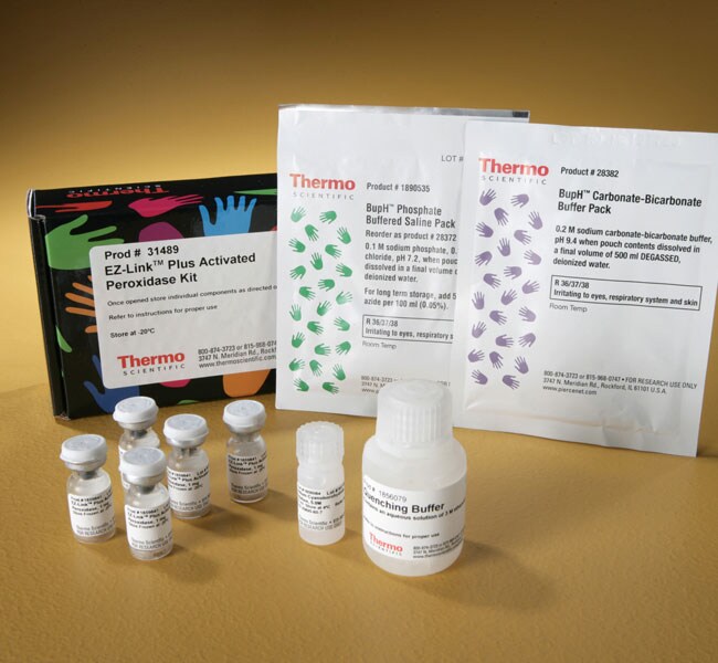 EZ-Link&trade; Plus 活化过氧化物酶试剂盒