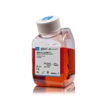 DMEM，高糖，GlutaMAX&trade; 添加剂，丙酮酸盐