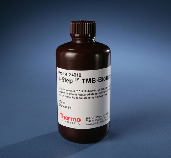 1-Step&trade; TMB Blotting 底物溶液
