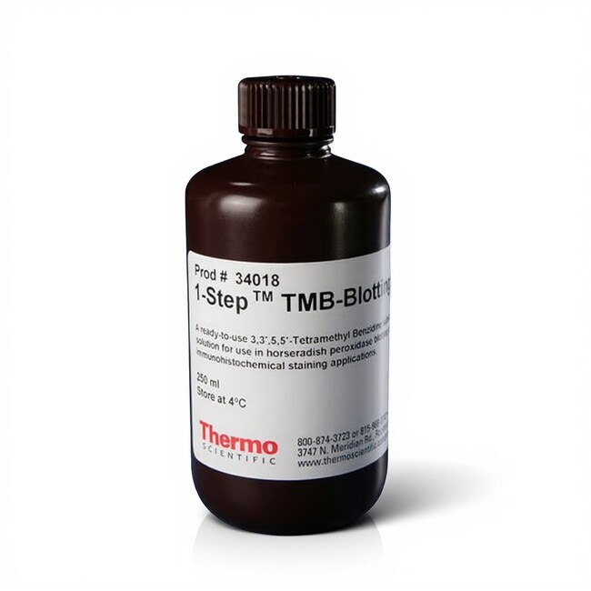 1-Step&trade; TMB Blotting 底物溶液