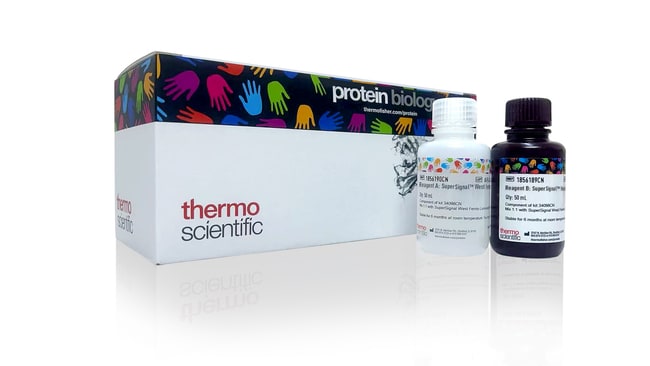 SuperSignal&trade; West Femto Maximum Sensitivity Substrate, 500 mL