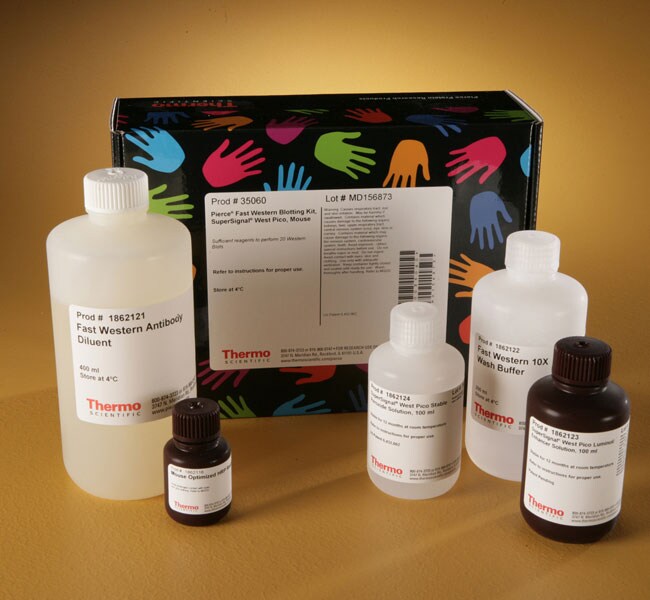 Pierce&trade; 快速 Western 试剂盒，SuperSignal&trade; West Pico，小鼠