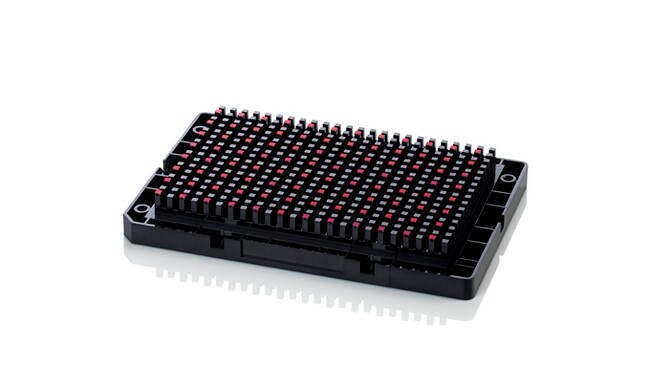 Axiom&trade; Strawberry FanaSNP 50k Genotyping Array, 384-HT format
