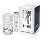 TaqMan&trade; RNA-to-C<sub> T</sub>&trade;<i>1-步法</i> 试剂盒