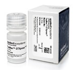 TaqMan&trade; GTXpress&trade; Master Mix