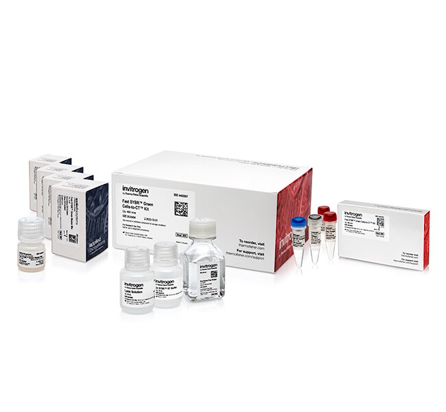 Fast SYBR™ Green Cells-to-C<sub>T</sub>™ Kit