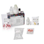 Pierce&trade; 小鼠 IgG1 Fab 和 F(ab')2 微型制备试剂盒