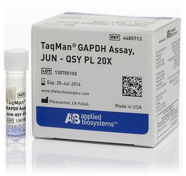 TaqMan&trade; GAPDH 检测试剂，JUN&trade; 染料/QSY&trade; 探针，限制性引物