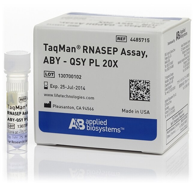 TaqMan&trade; RNase P Assay, ABY&trade; dye/QSY&trade; probe, primer-limited