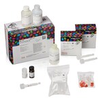 Pierce&trade; 小鼠 IgG1 Fab 和 F(ab')2 制备试剂盒