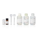 Pierce&trade; 小鼠 IgG1 Fab 和 F(ab')2 制备试剂盒
