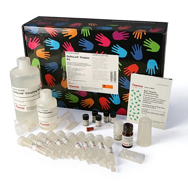 SulfoLink&trade; 蛋白质固定试剂盒，2 mL