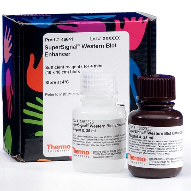 SuperSignal&trade; 蛋白质免疫印迹增强剂