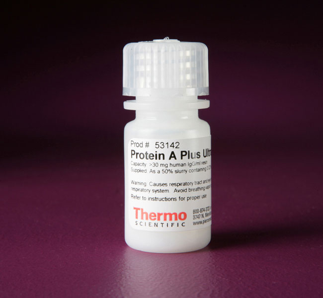 Pierce™ 蛋白 A Plus UltraLink™ 树脂 5 mL | Buy Online | Thermo Scientific™