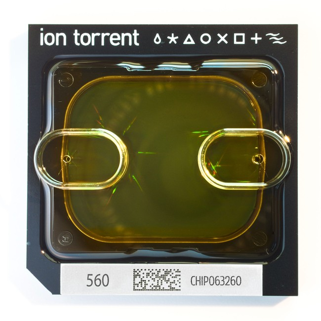 Ion 560™ Chip Kit