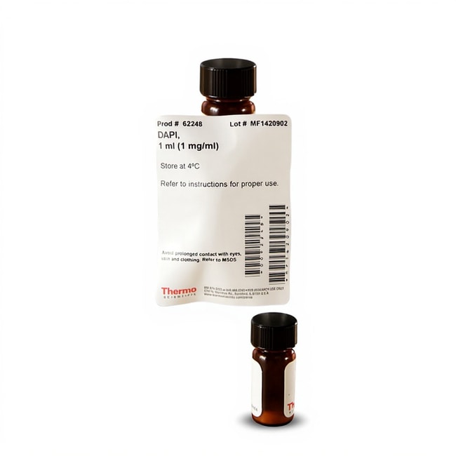 DAPI and Hoechst Nucleic Acid Stains