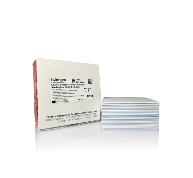 Low Fluorescence PVDF Membranes