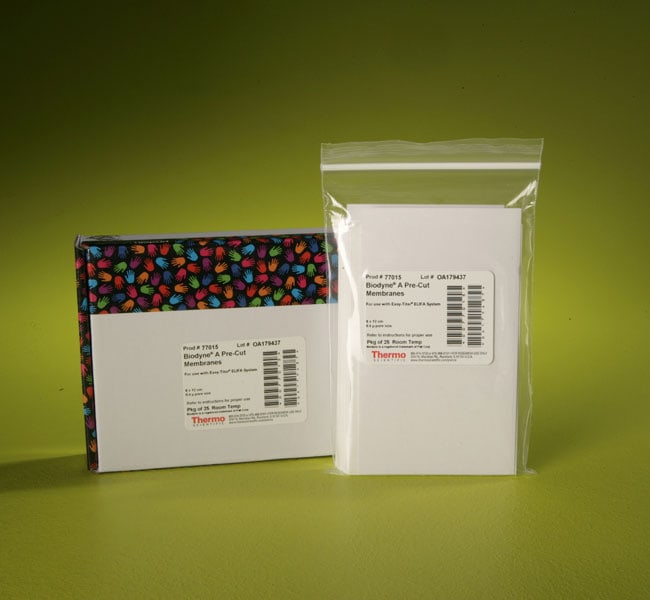 Biodyne&trade; A 尼龙膜，0.45 &mu;m，8 cm x 12 cm