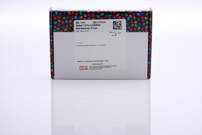 Biodyne&trade; B 尼龙膜，0.45 &mu;m，8 cm x 12 cm