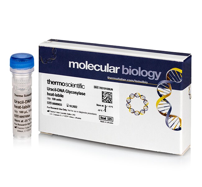 Uracil-DNA Glycosylase，不耐热性