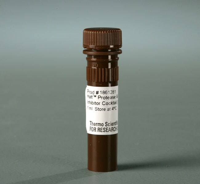 Halt&trade; 蛋白酶和磷酸酶抑制剂混合物无 EDTA (100X)