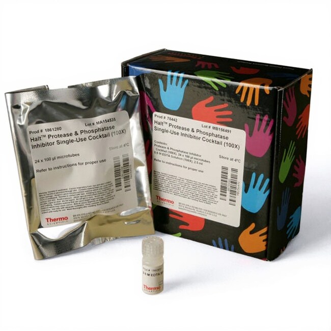 Halt&trade; 蛋白酶和磷酸酶抑制剂混合物 (100X)