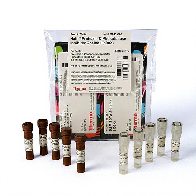Halt&trade; 蛋白酶和磷酸酶抑制剂混合物 (100X)