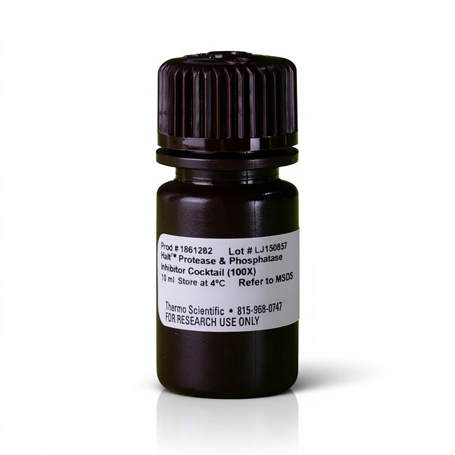 Halt&trade; 蛋白酶和磷酸酶抑制剂混合物无 EDTA (100X)
